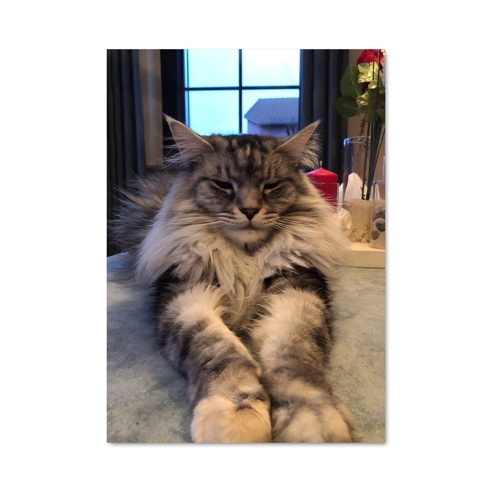 Poster Douceur Fluffy