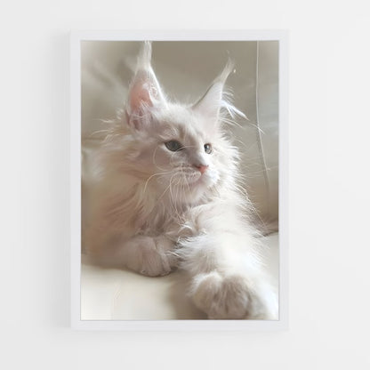 ap-maine coon-5 cadre Blanc