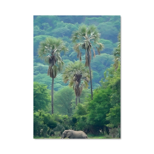 Poster La Majesté du Malawi