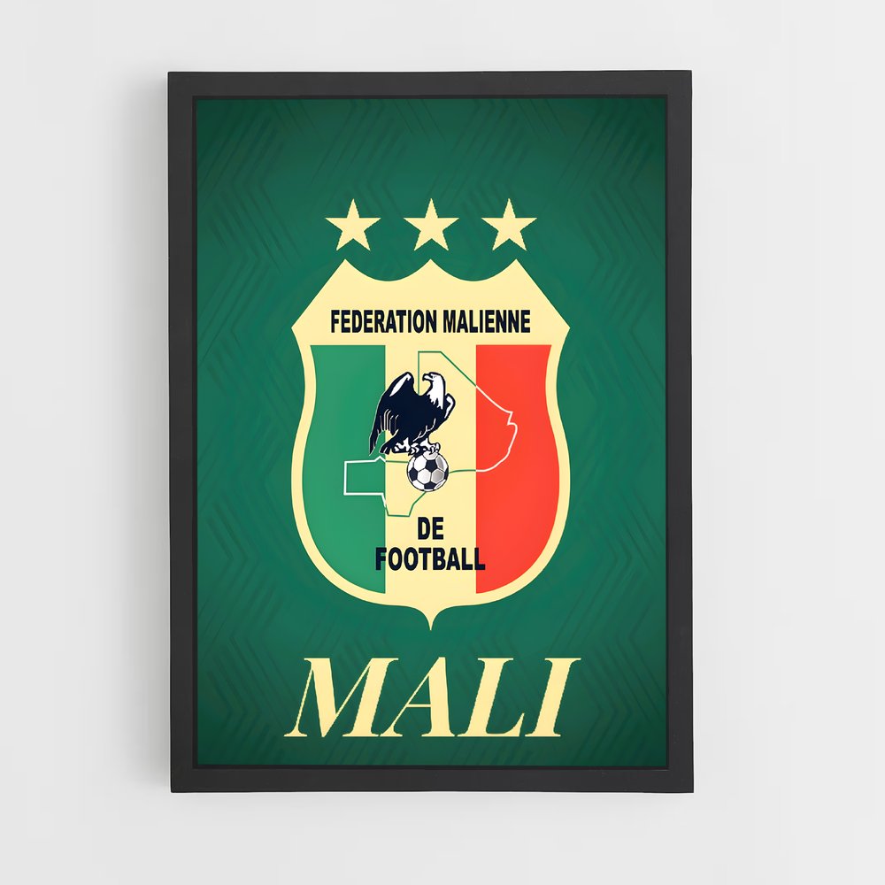 ap-mali national football team-2 cadre Noir