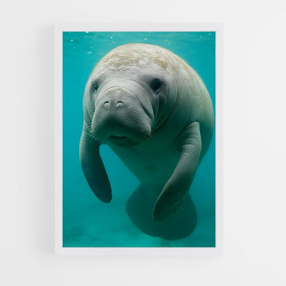 ap-manatee-2 cadre Blanc