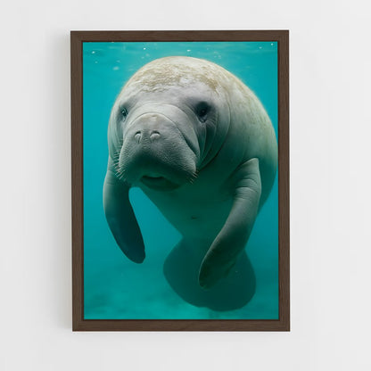 ap-manatee-2 cadre Bois foncé