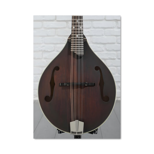 Poster Mélodie Mandolin