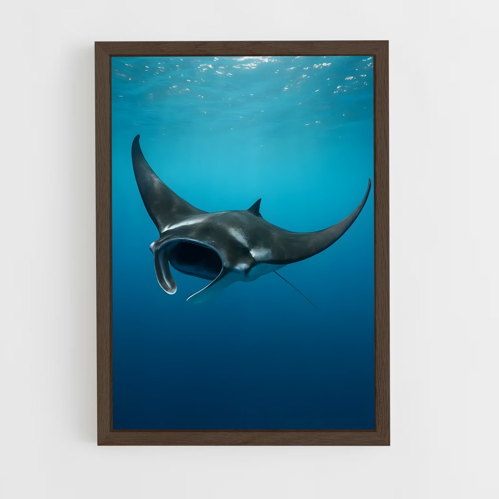 ap-manta ray-1 cadre Bois foncé