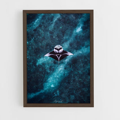 ap-manta ray-8 cadre Bois foncé