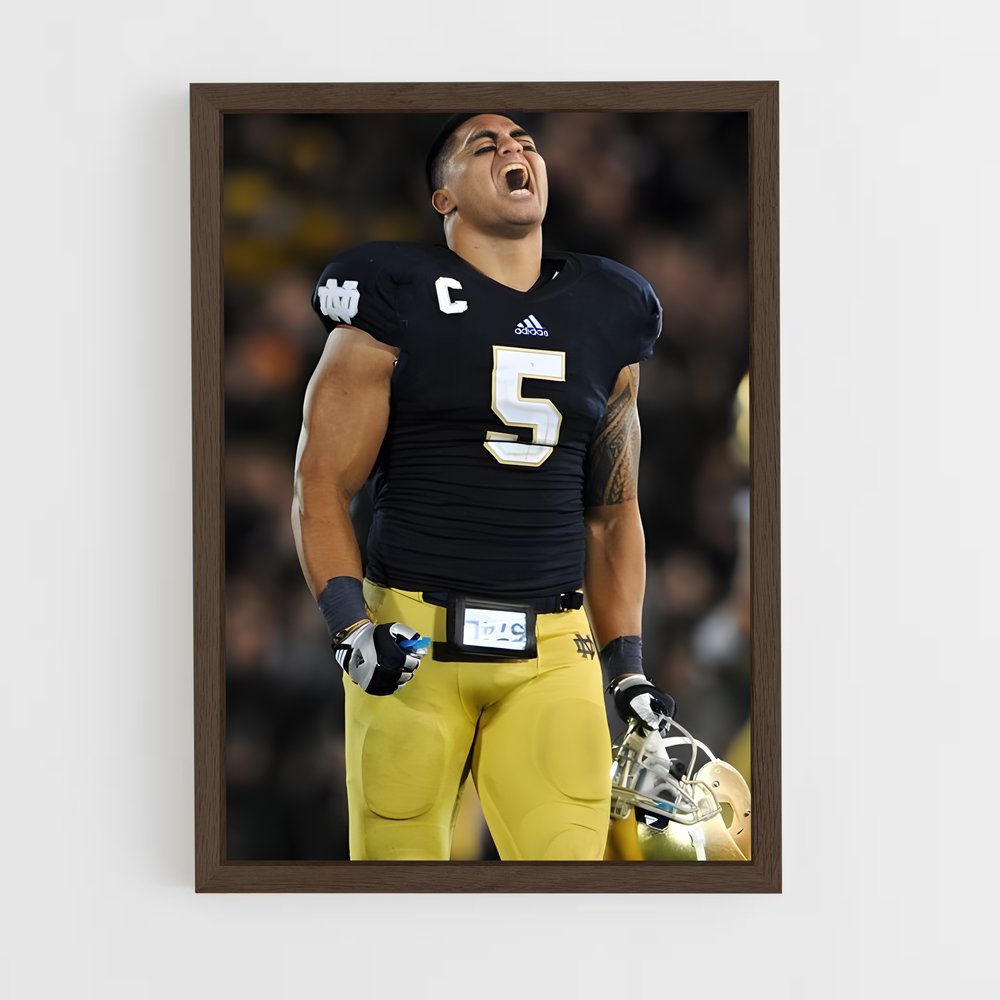ap-manti te'o-3 cadre Bois foncé