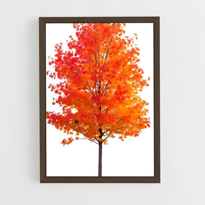 ap-maple-2 cadre Bois foncé