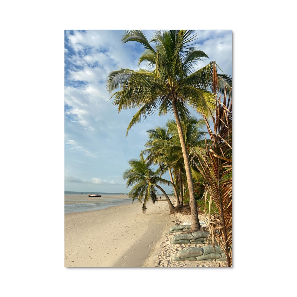 Poster Palmiers de Maputo