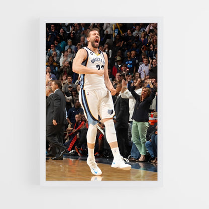 ap-marc gasol-2 cadre Blanc