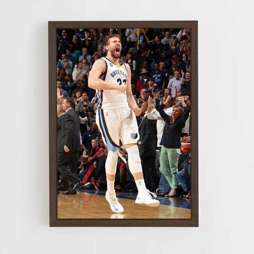 ap-marc gasol-2 cadre Bois foncé