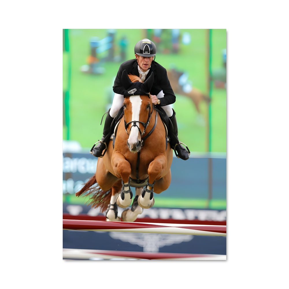Poster Marcus ehning 67377