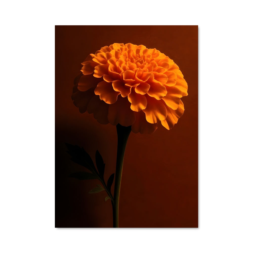 Poster Fleur de Marigold