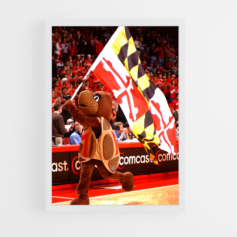 ap-maryland terrapins-1 cadre Blanc