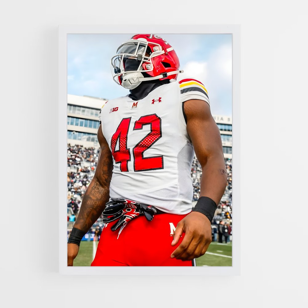 ap-maryland terrapins-3 cadre Blanc