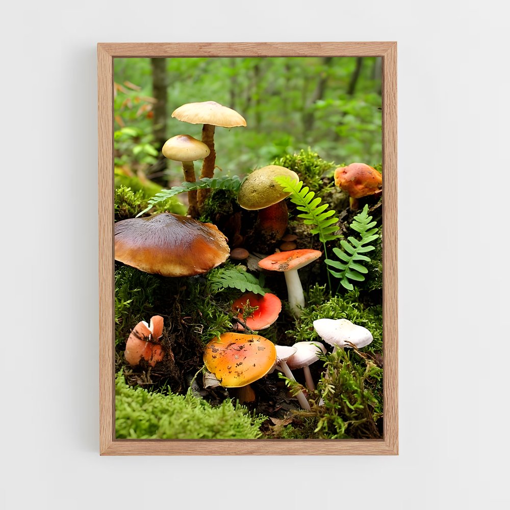 ap-meadow mushroom-5 cadre Bois clair