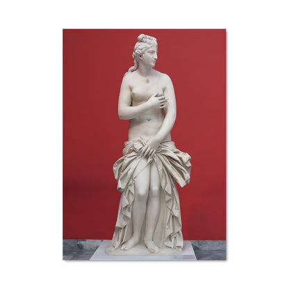 Poster Medici venus 20054
