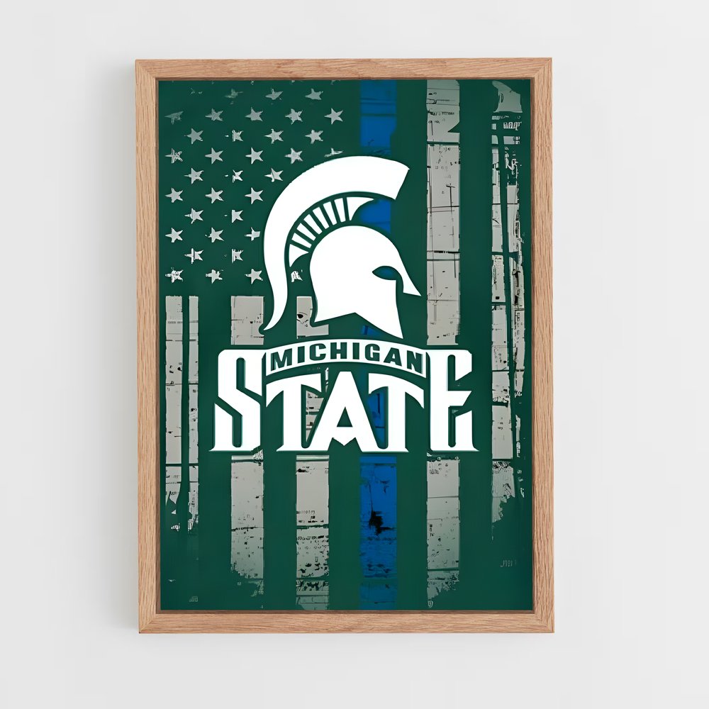 ap-michigan state spartans-2 cadre Bois clair