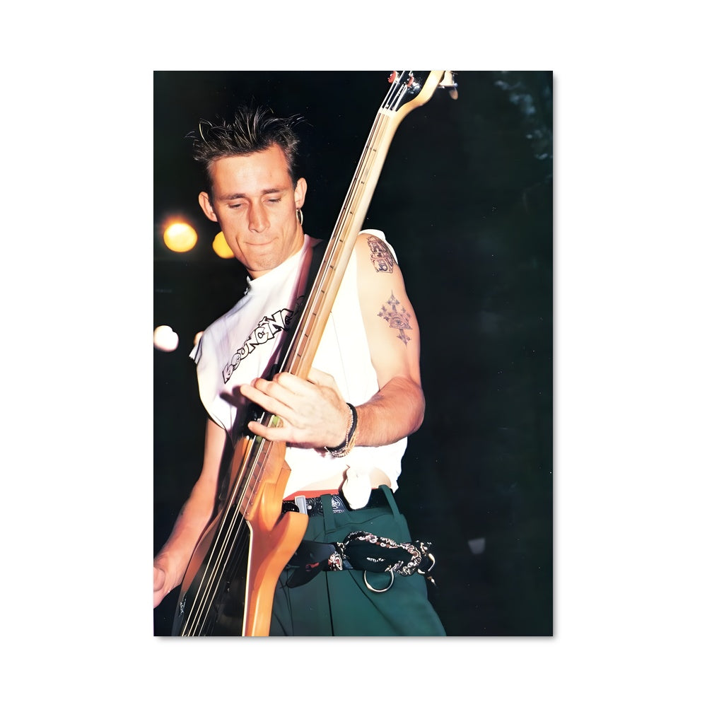 Poster Mike dirnt 55746