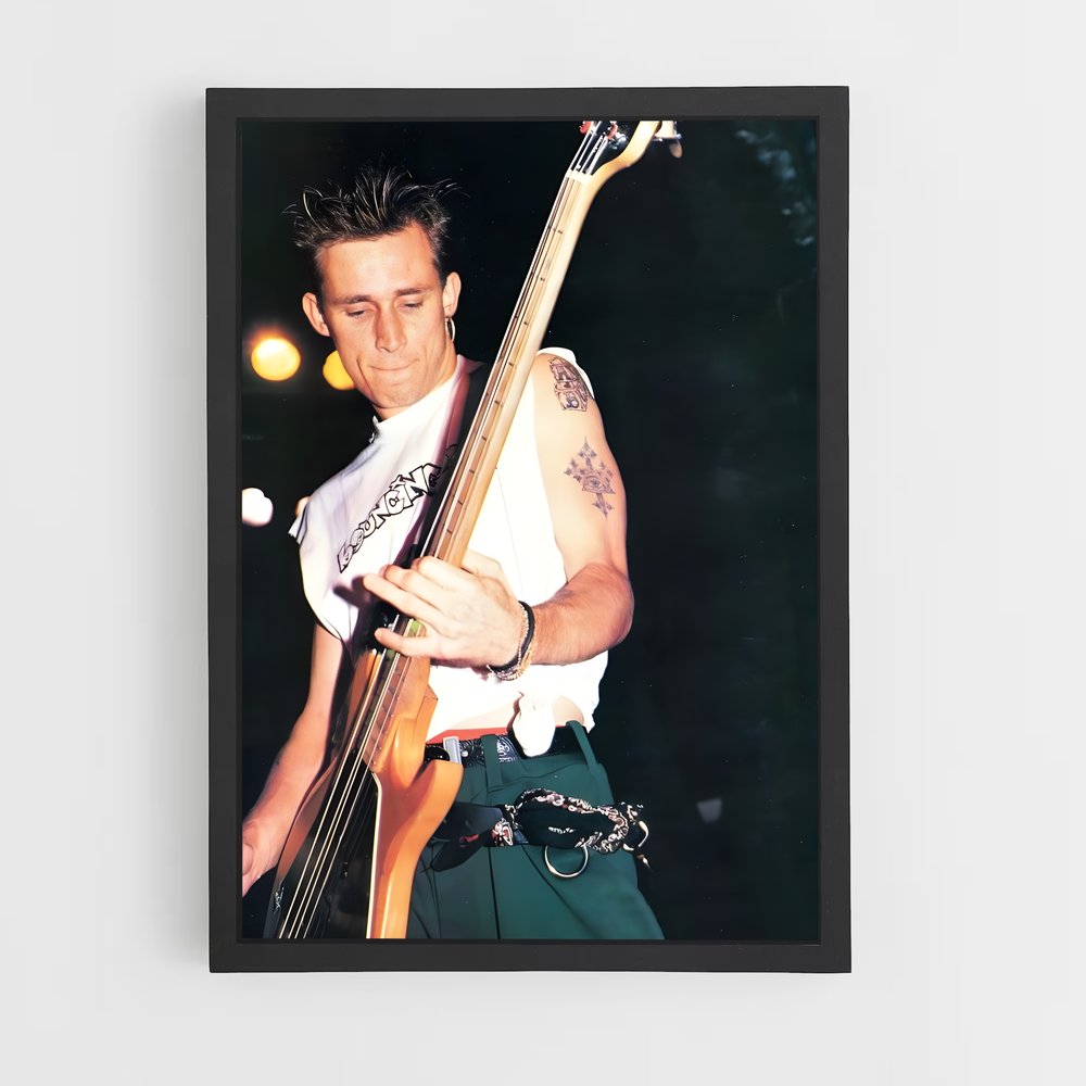 ap-mike dirnt-2 cadre Noir