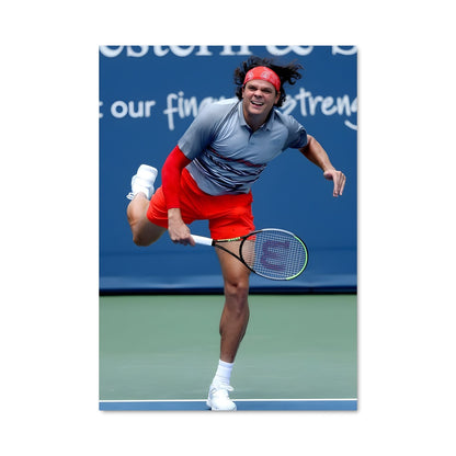 Poster Saut de Raonic
