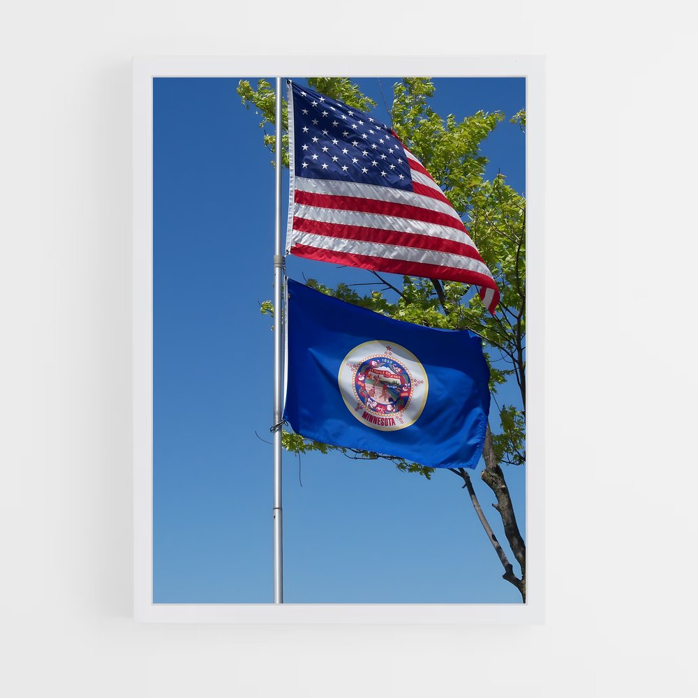 ap-minnesota flag-1 cadre Blanc