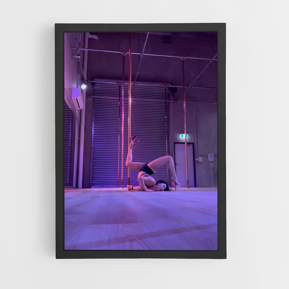 ap-miss pole dance world-5 cadre Noir