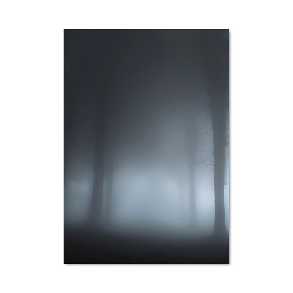 Poster Forêt Envoûtante