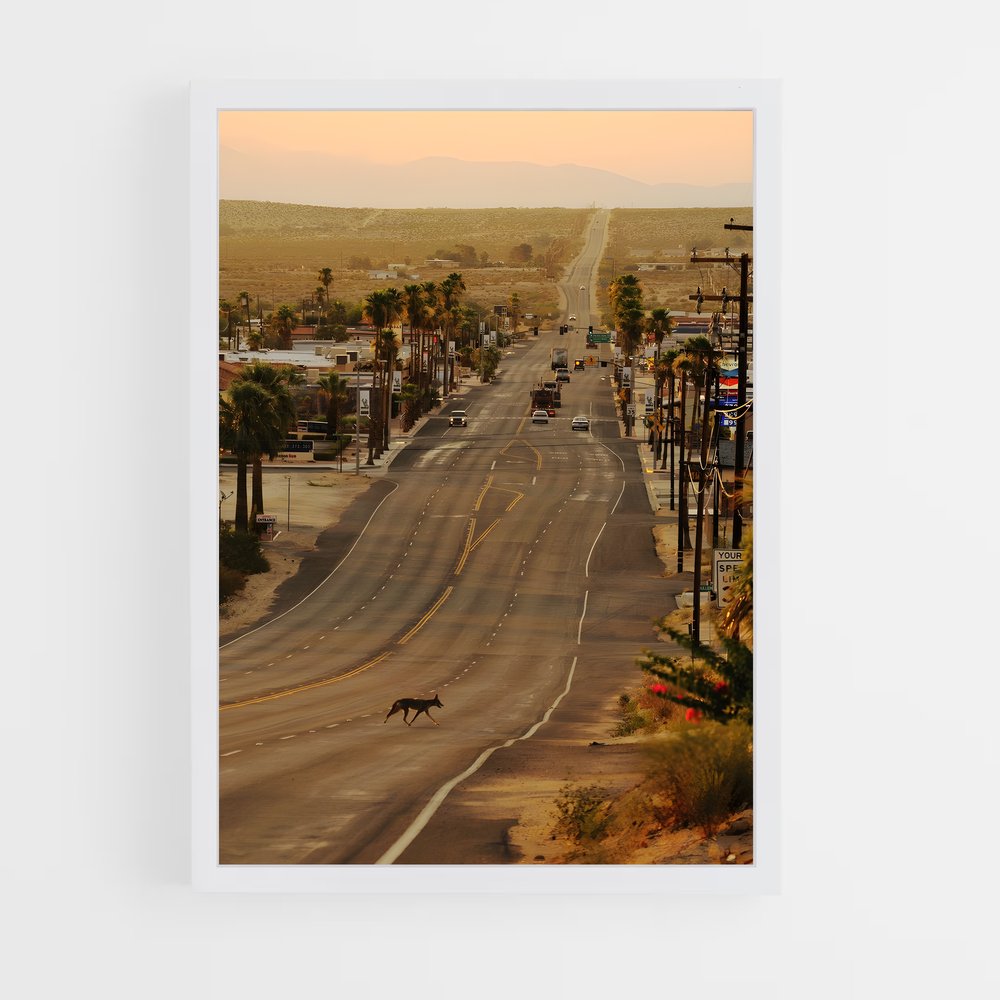 ap-mojave desert-1 cadre Blanc