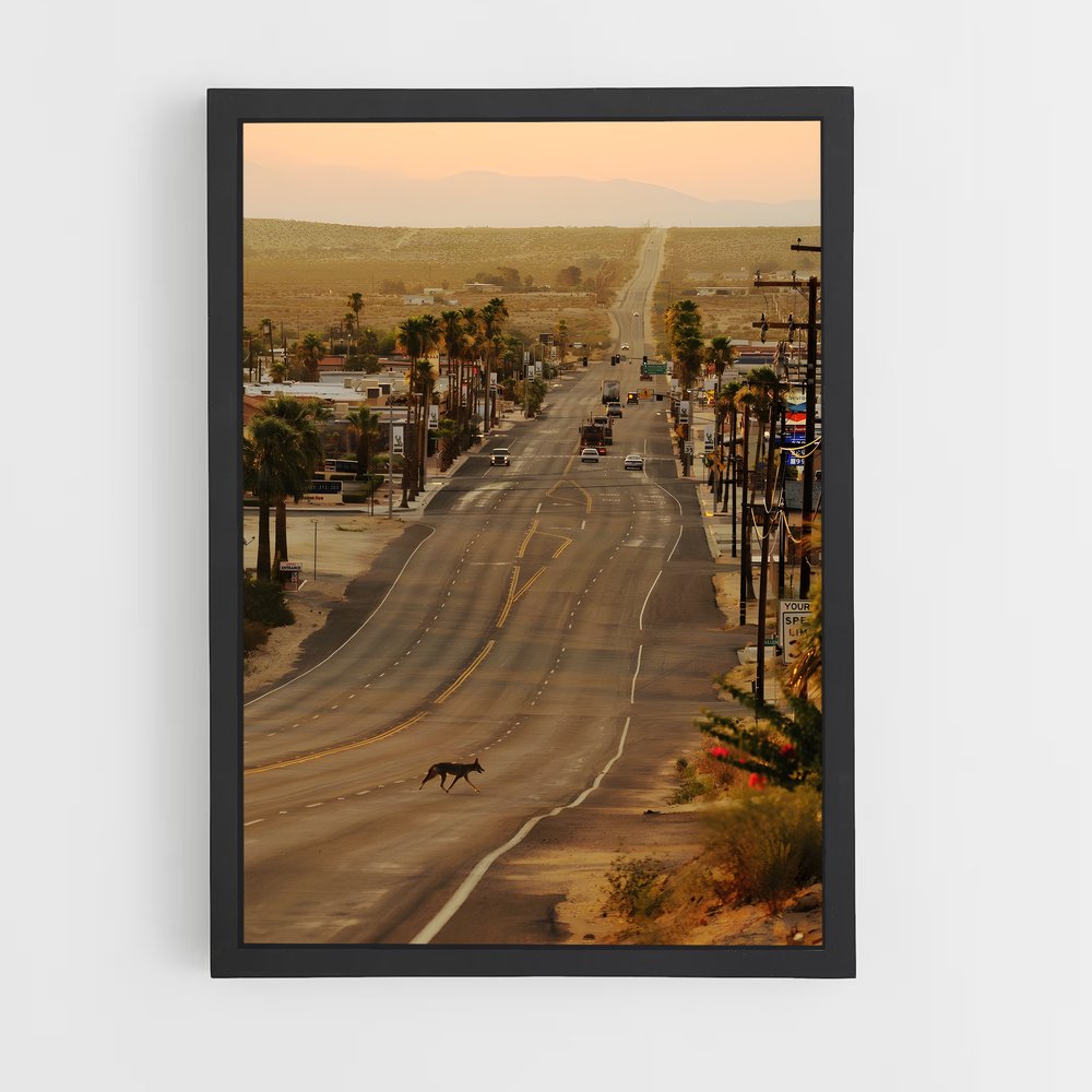 ap-mojave desert-1 cadre Noir