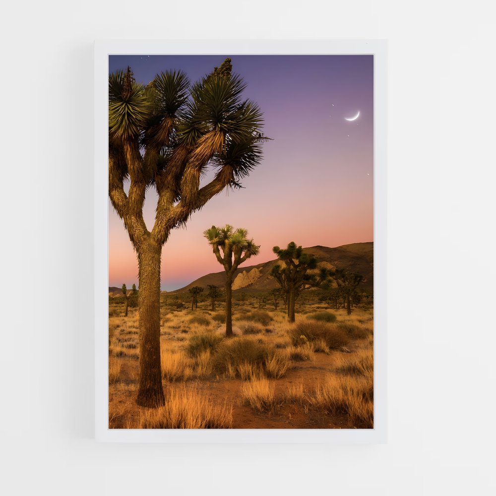 ap-mojave desert-2 cadre Blanc