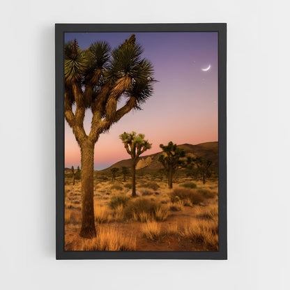 ap-mojave desert-2 cadre Noir