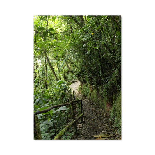 Poster Sentier Tropical