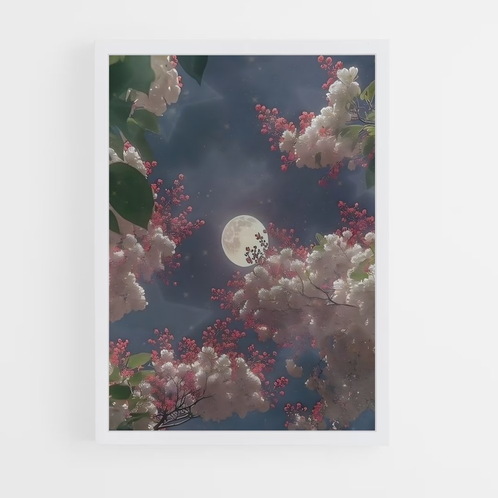 ap-moon-6 cadre Blanc