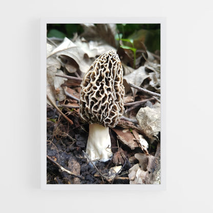ap-morel-2 cadre Blanc