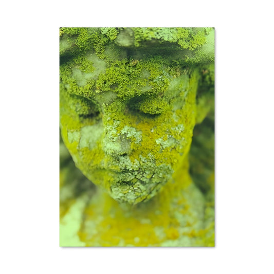 Poster L'Éveil du Temps