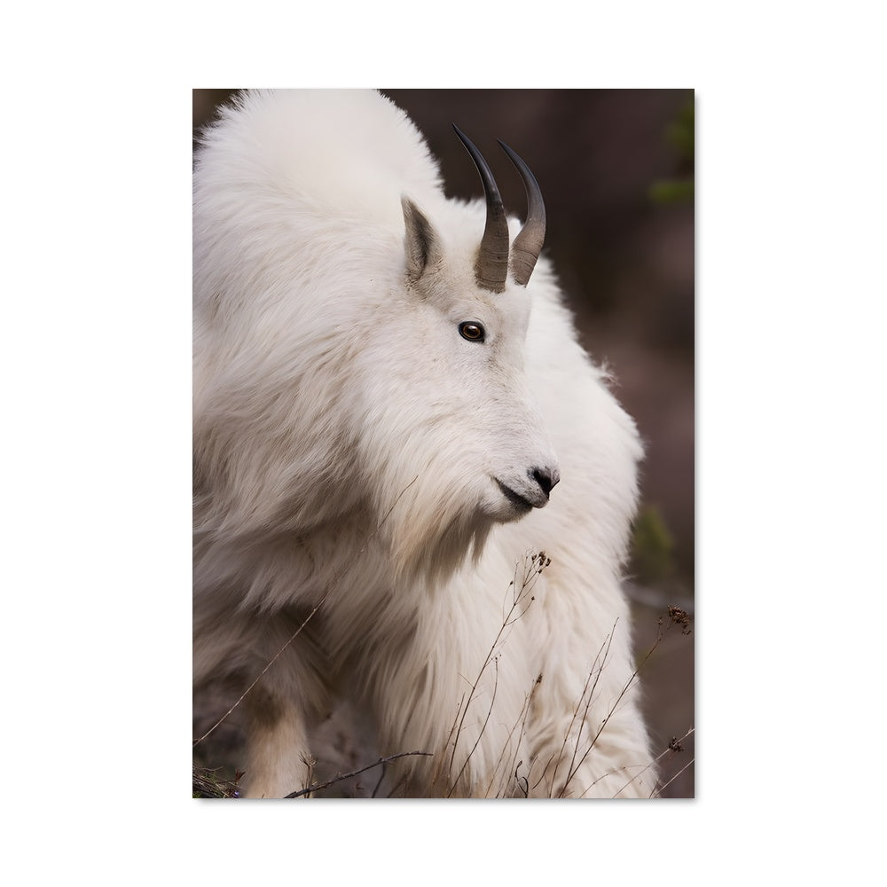 Poster La Montagne Sauvage