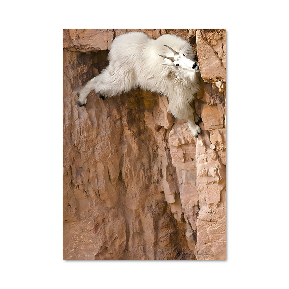 Poster L'Ascension du Chamois