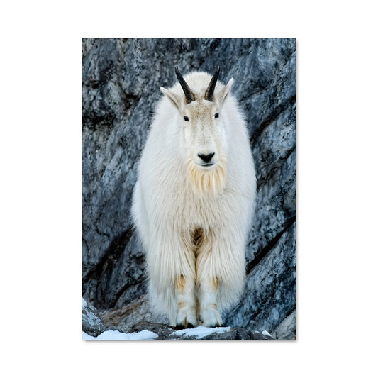 Poster L'Empereur des Cimes