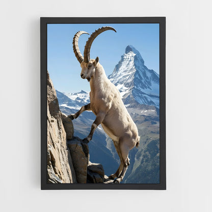 ap-mountain goat-1 cadre Noir