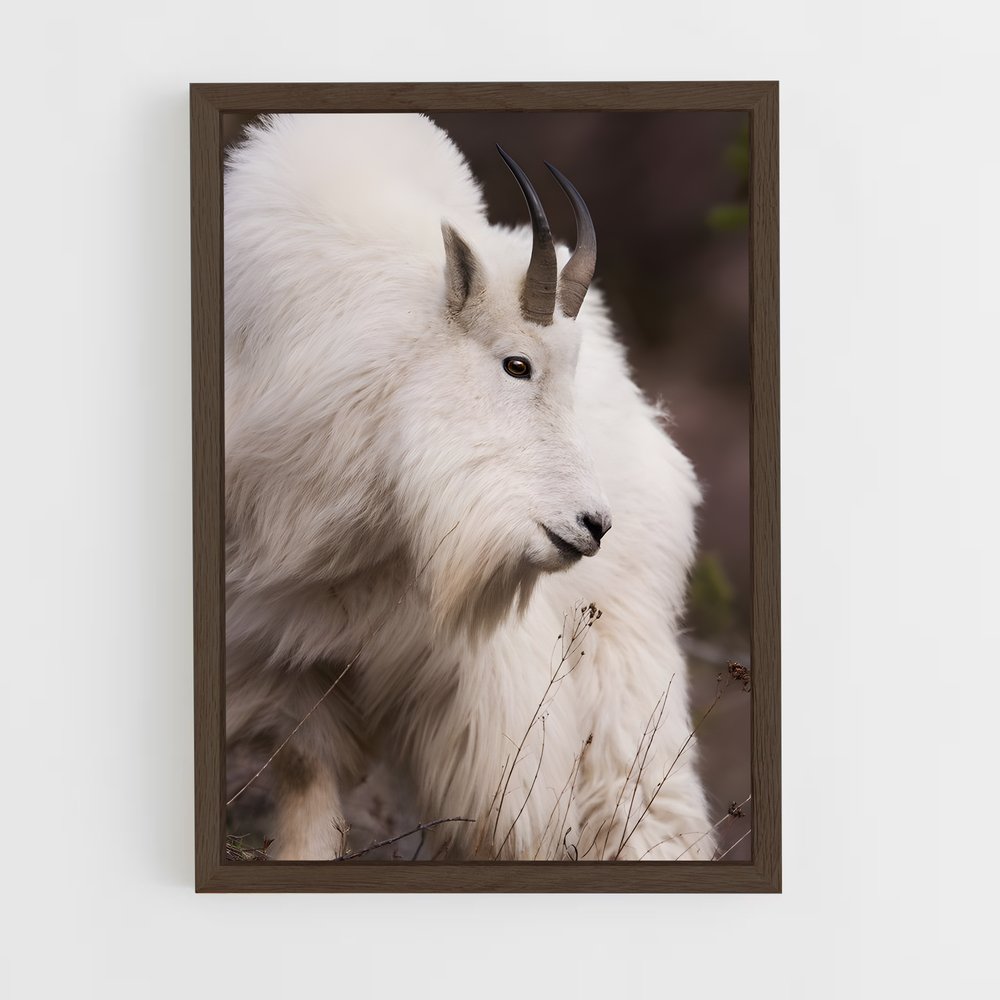 ap-mountain goat-10 cadre Bois foncé