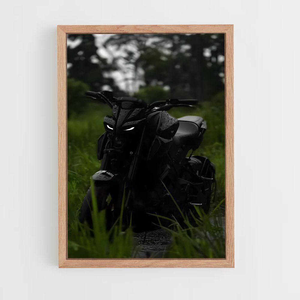 ap-mt-03-2 cadre Bois clair