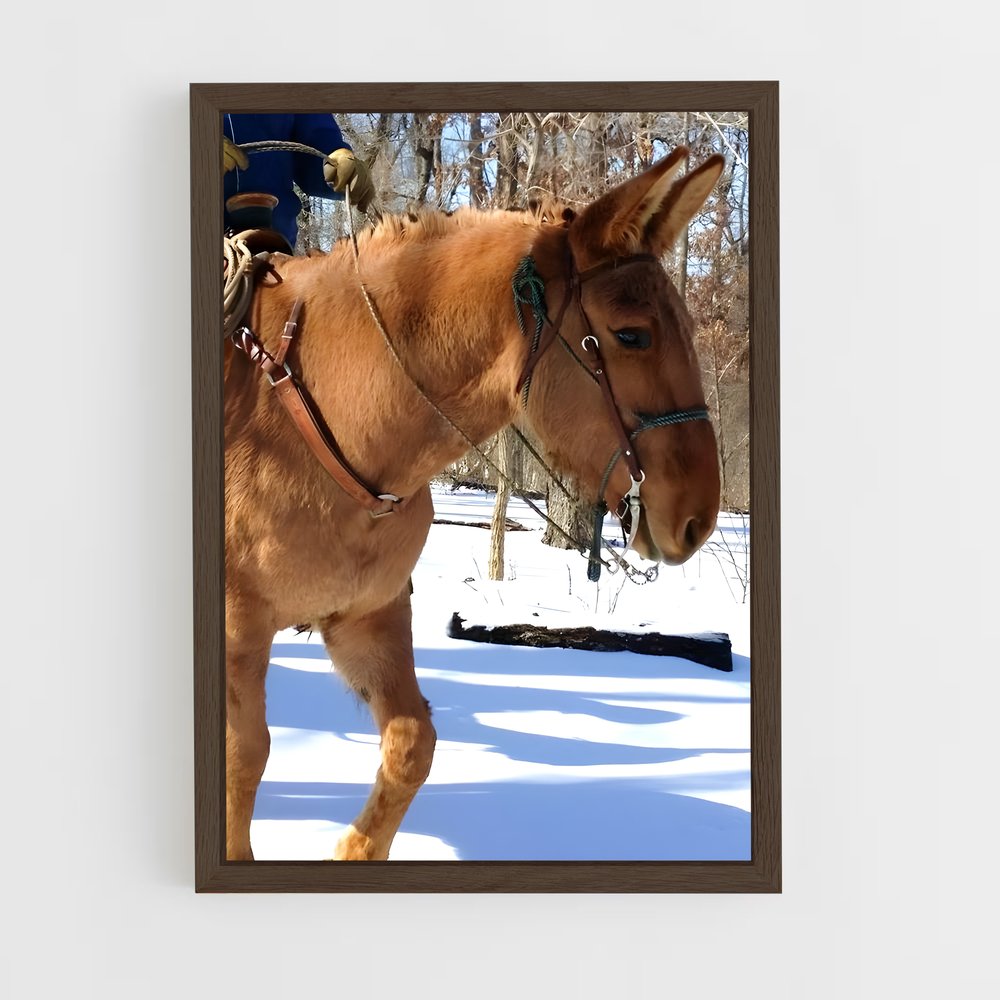 ap-mule-3 cadre Bois foncé