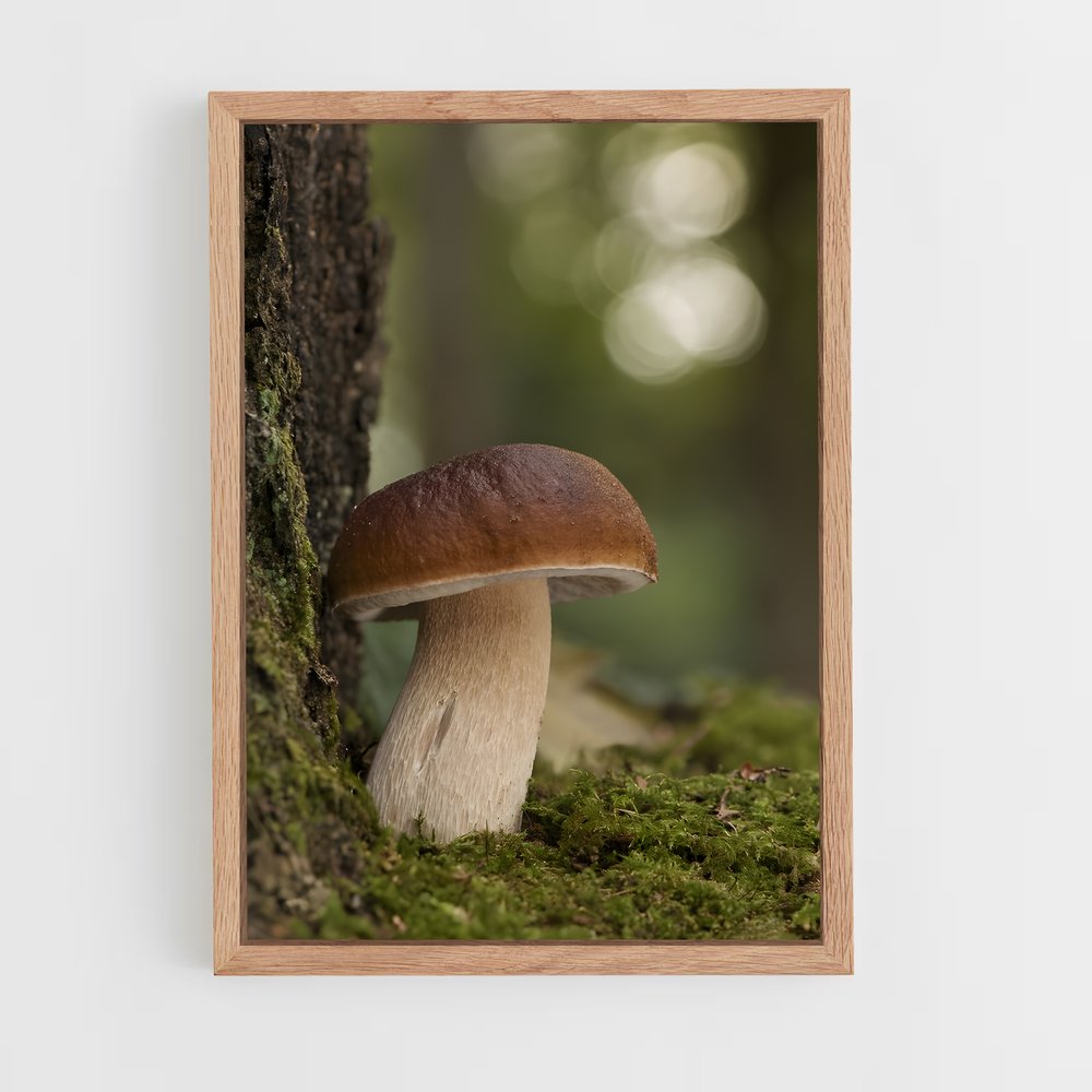 ap-mushroom-9 cadre Bois clair
