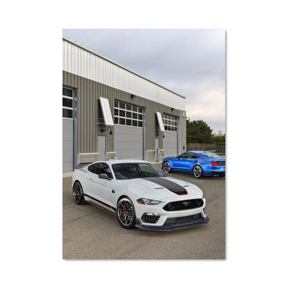 Poster Mustang Élégance