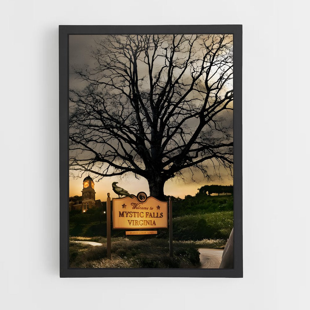 ap-mystic falls-3 cadre Noir
