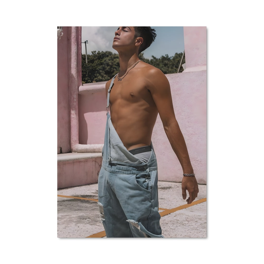 Poster Le Rêveur Rose