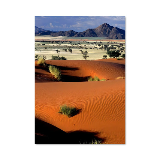 Poster Oasis Mystérieuse