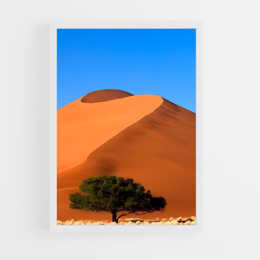 ap-namibian desert-1 cadre Blanc