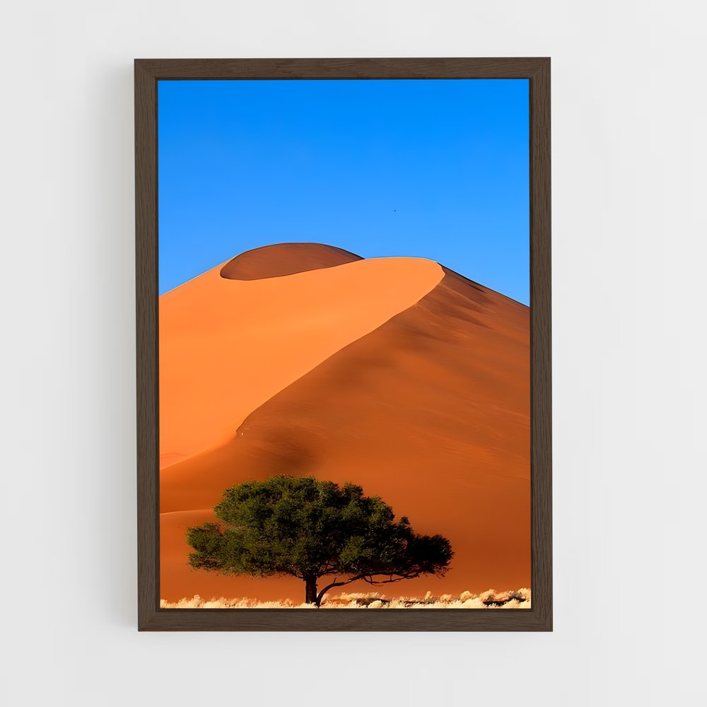 ap-namibian desert-1 cadre Bois foncé