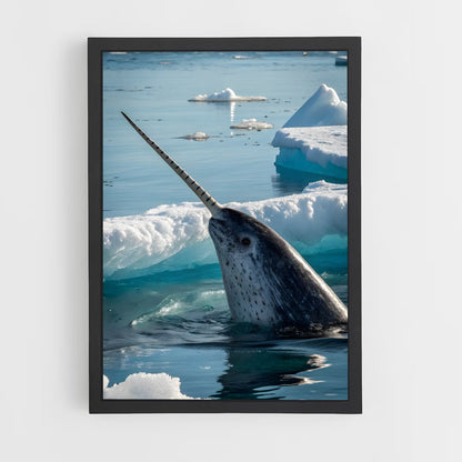 ap-narwhal-1 cadre Noir